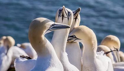 世界杯高清比赛视频-阿奇姆彭：今年总体比较成功 认为球队做得非常棒