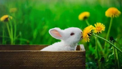 世界杯高清比赛视频-阿奇姆彭：今年总体比较成功 认为球队做得非常棒